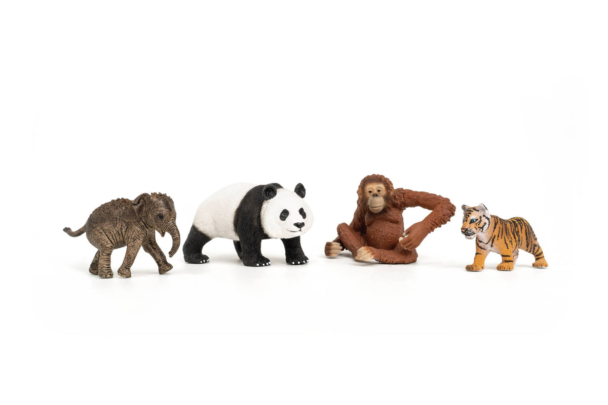 Wild Life Asia Starter Set