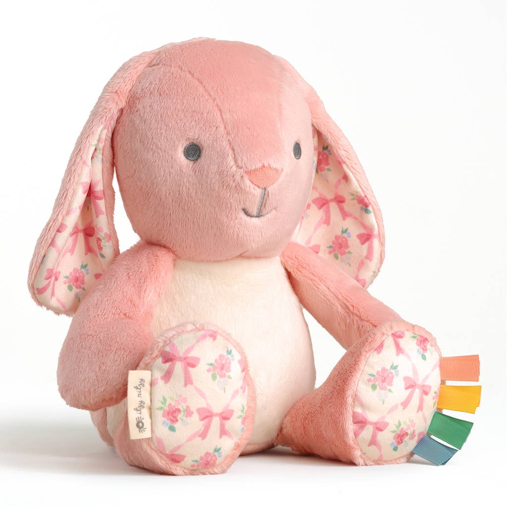 *NEW* Sweetie Snuggles™ Plush: Strawberry