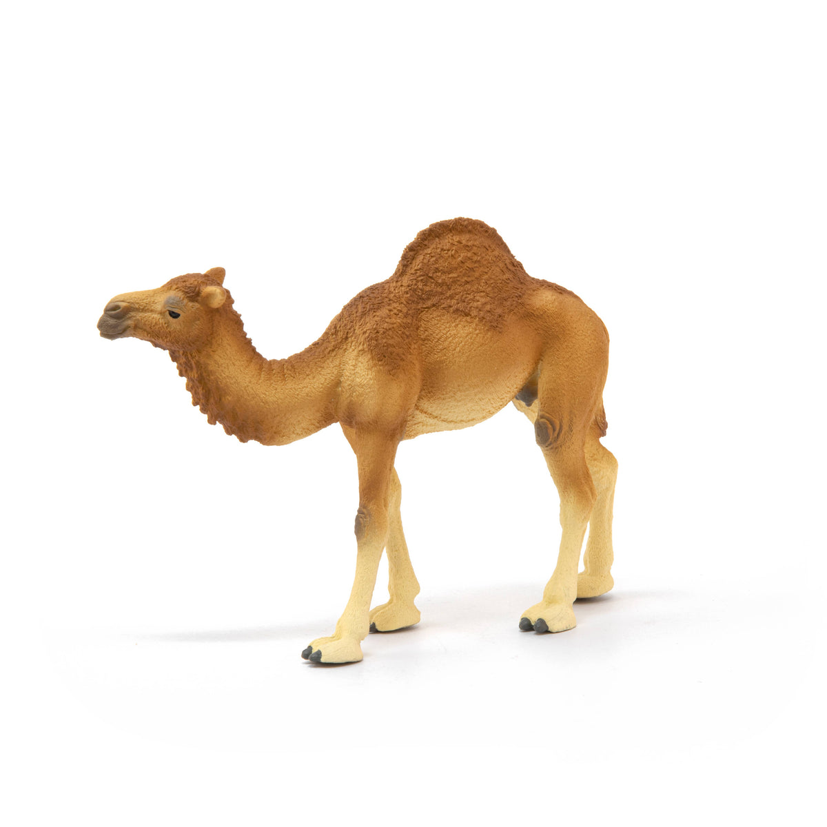 Dromedary Animal Toy