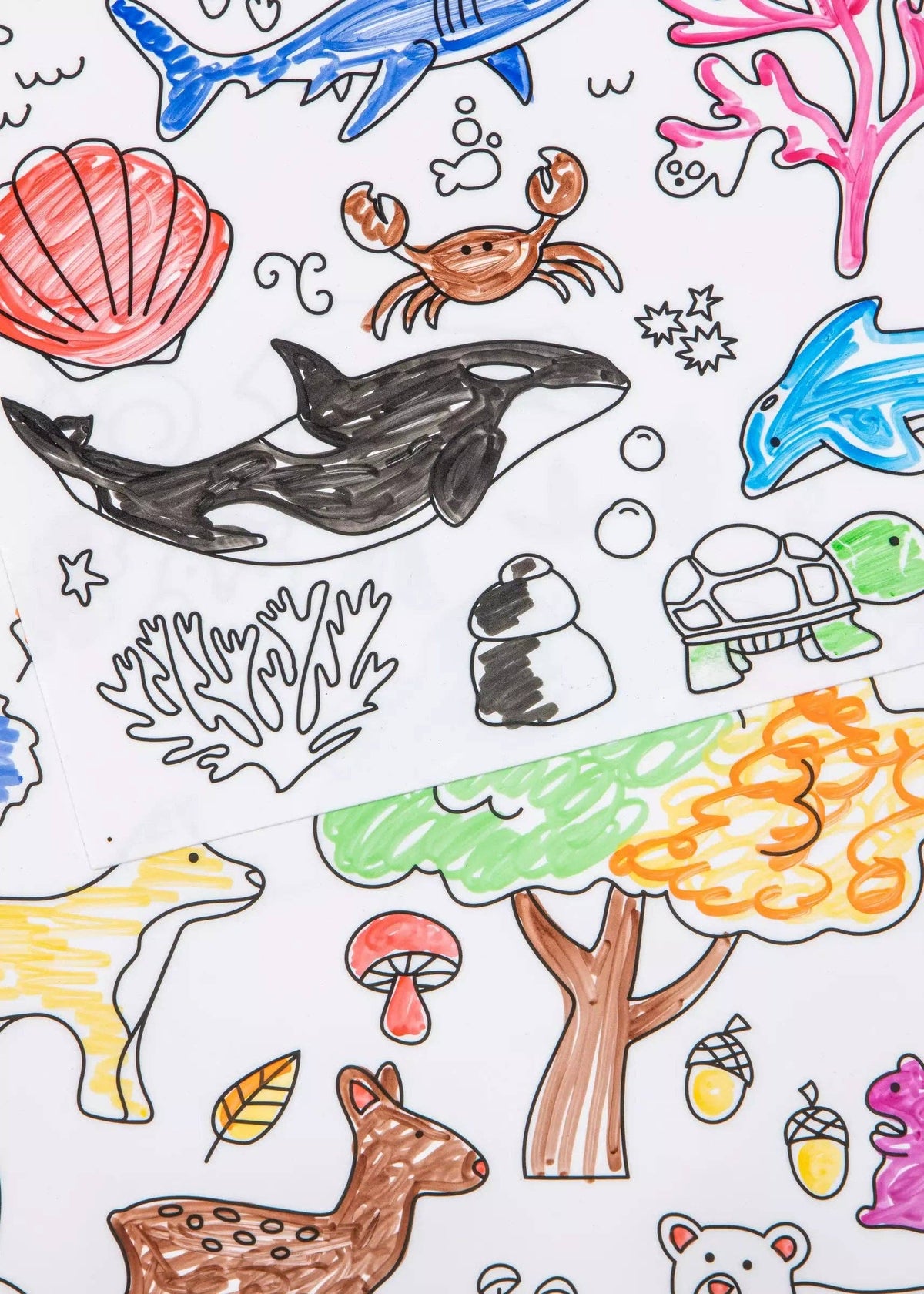 Set of 4 Silicone Washable Coloring Placemats & Markers