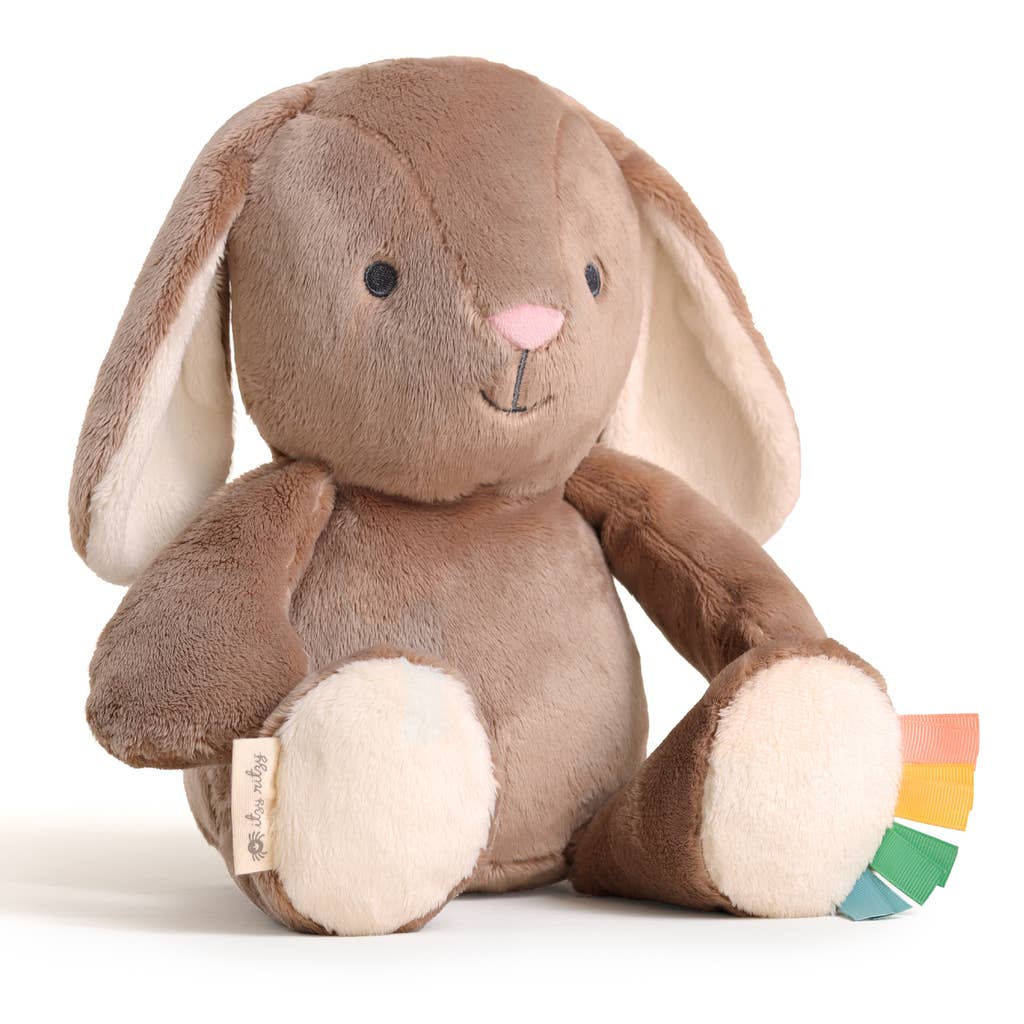 *NEW* Sweetie Snuggles™ Plush: Strawberry