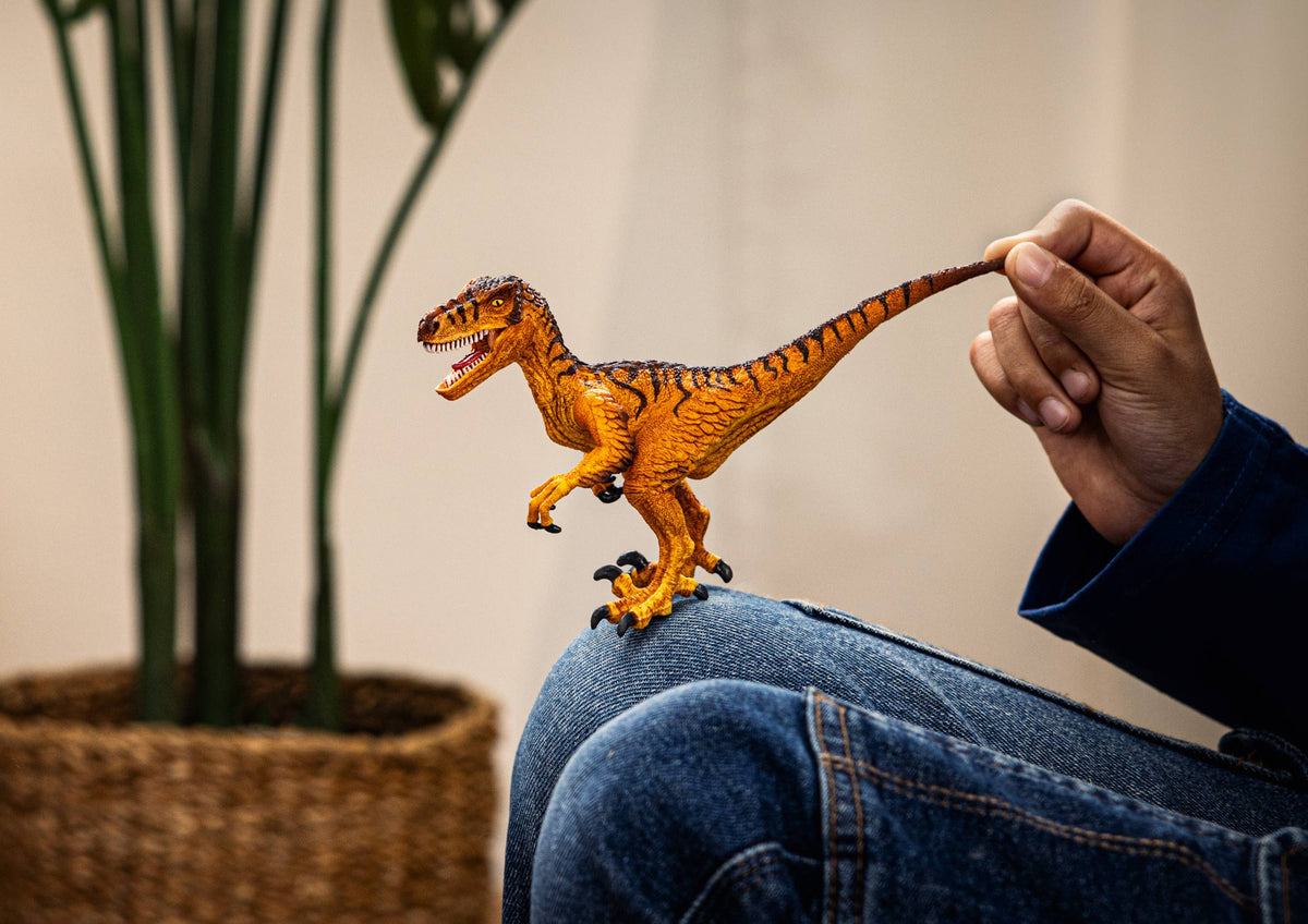 Velociraptor