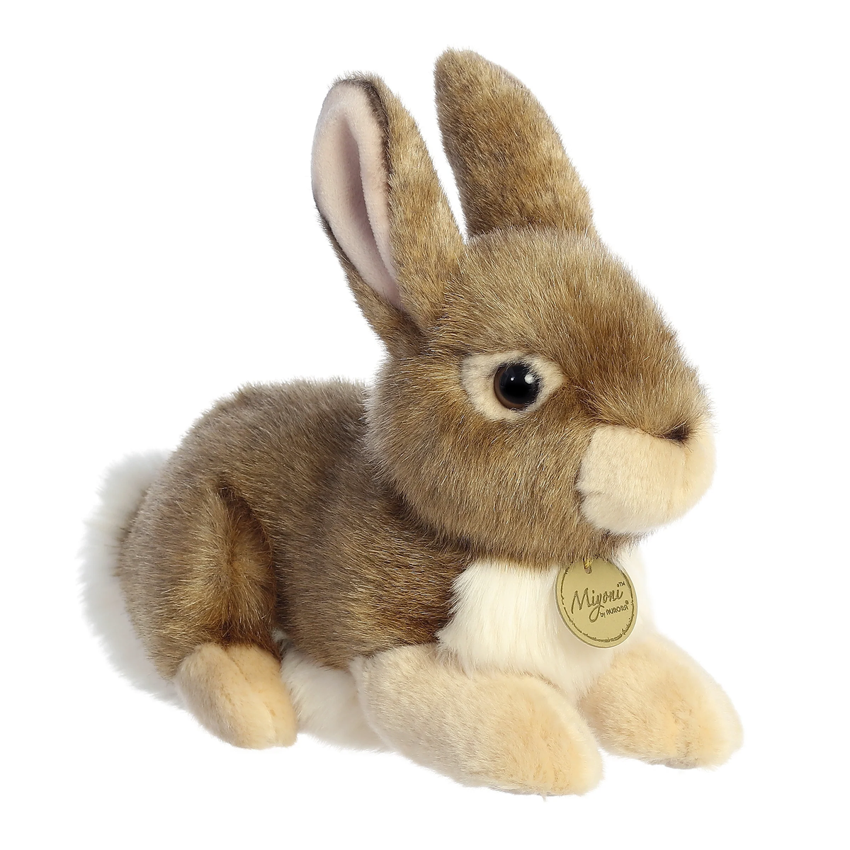 EASTERN COTTONTAIL RABBIT