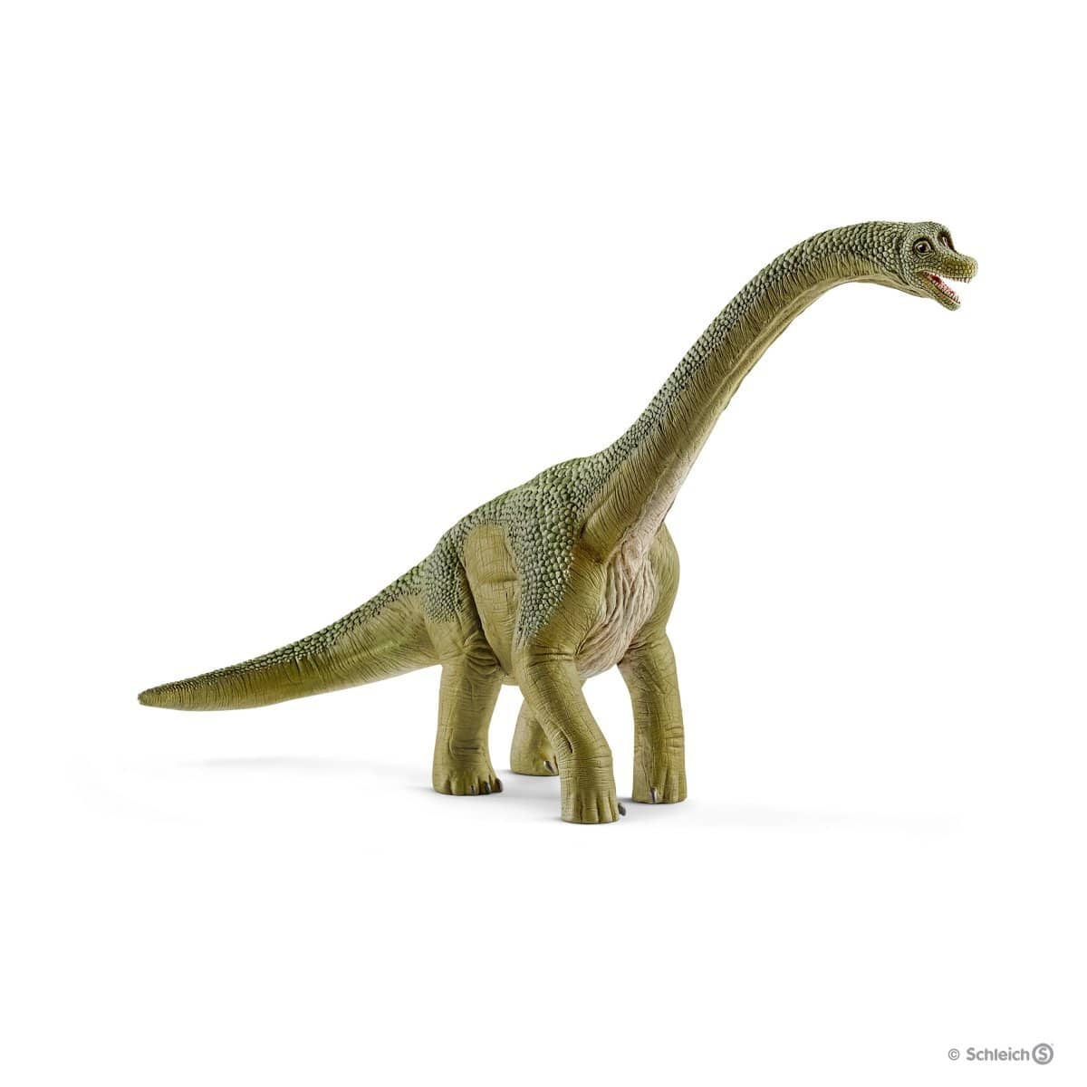 Brachiosaurus-Kidding Around NYC