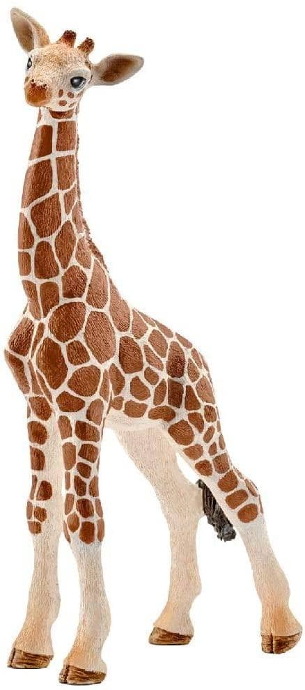 Giraffe Calf-Kidding Around NYC