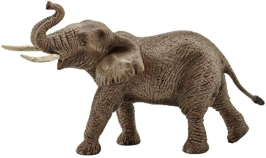 African Elephant Male-Kidding Around NYC