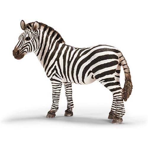 Zebra Female-Kidding Around NYC